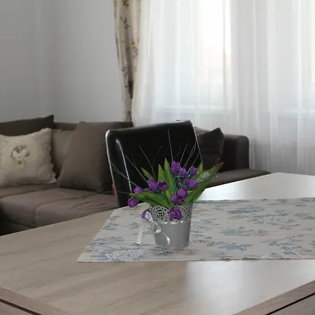 Fortuna 7 Apartment *